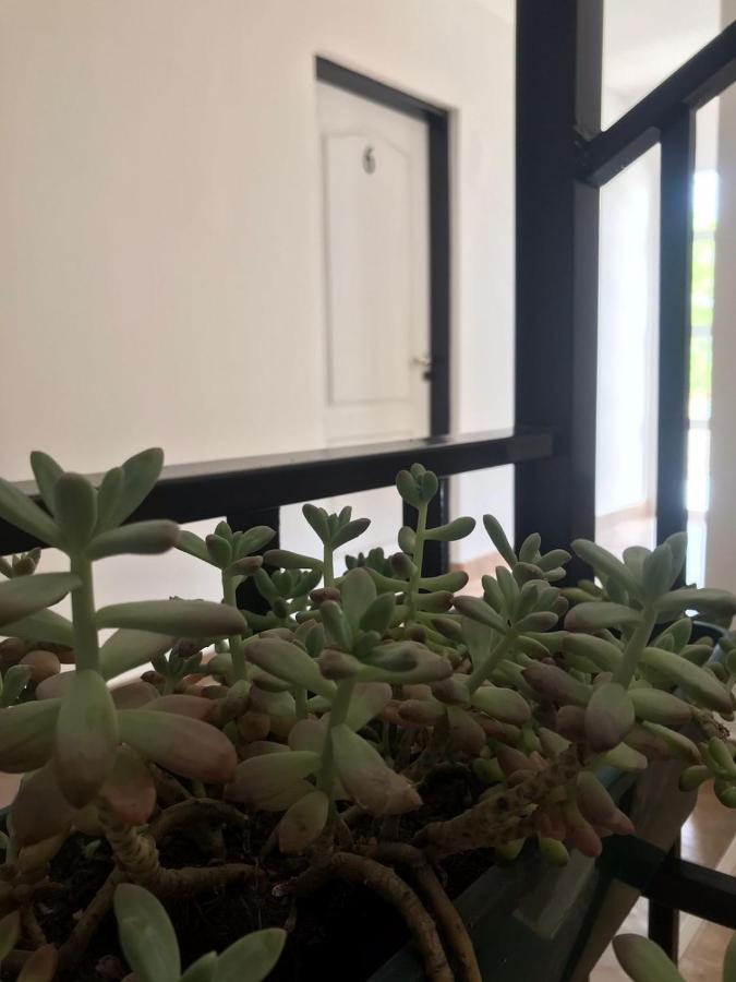 Guest House Салта Екстериор снимка